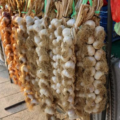 Sajam Okusi Hrvatsku kolovoz 2019