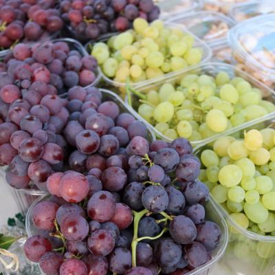 Sajam Okusi Hrvatsku kolovoz 2019