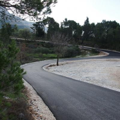 Putevi za Topiće i Bast