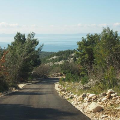 Putevi za Topiće i Bast