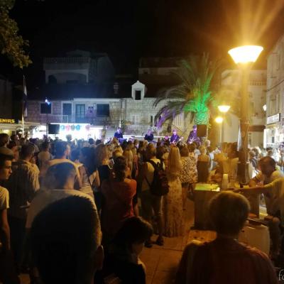 Koncert Gorana Karana