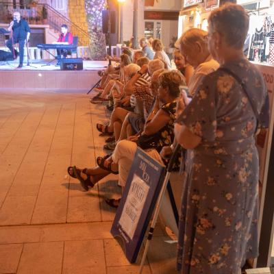 Večer evergreena - Saša Jakelić